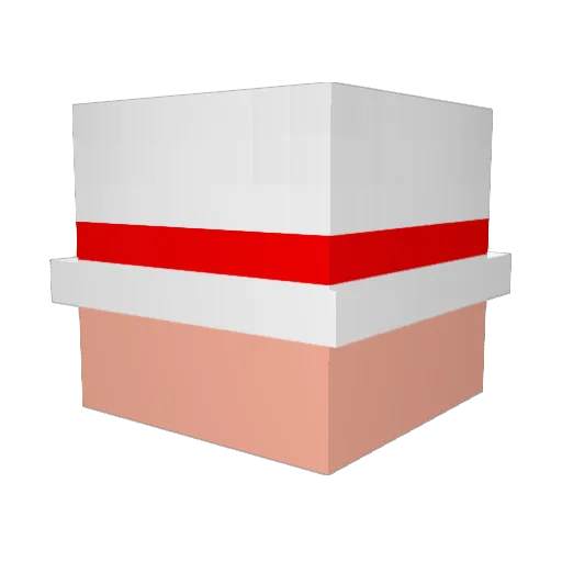 Retak01 Minecraft avatar head, 3D render