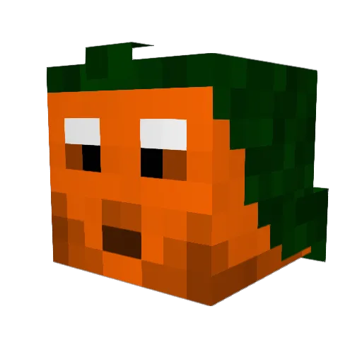 RetardedSquirrel Minecraft avatar head, 3D render
