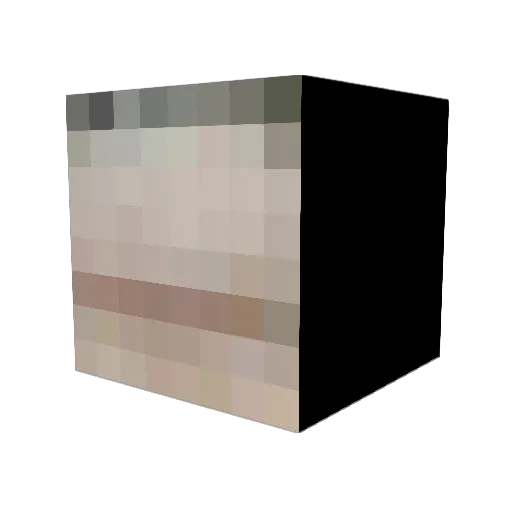 Retardedpanda Minecraft avatar head, 3D render