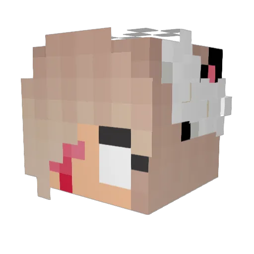 Retashica Minecraft avatar head, 3D render