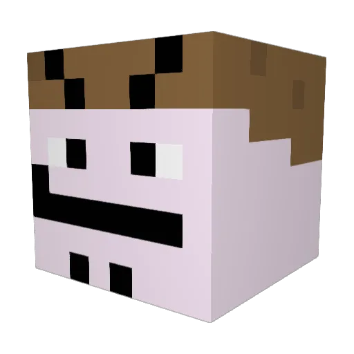Retep0_0 Minecraft avatar head, 3D render