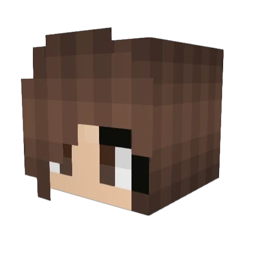 RethEldirood Minecraft avatar head, 3D render