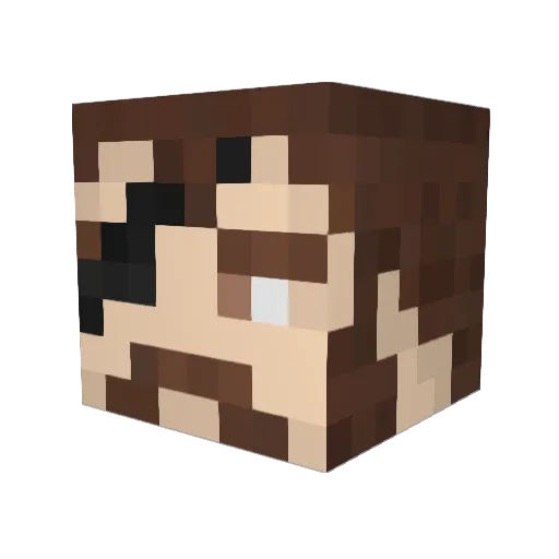 ReticularSaturn Minecraft avatar head, 3D render