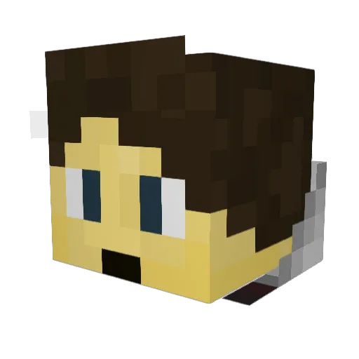 Reticulata Minecraft avatar head, 3D render