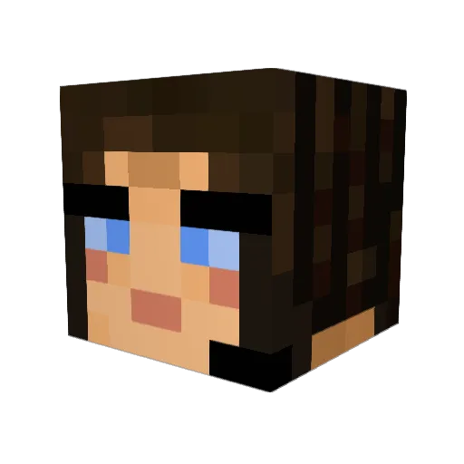 RetikulumDark Minecraft avatar head, 3D render