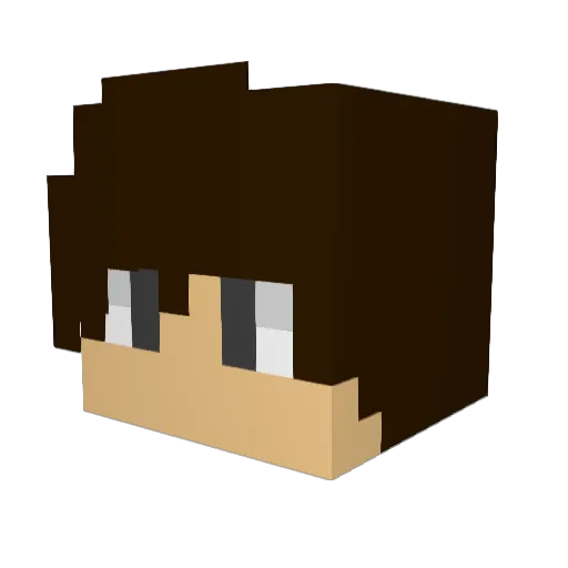 RetiredUSN Minecraft avatar head, 3D render
