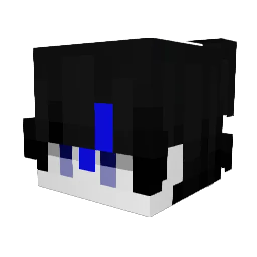Retired_Shadow Minecraft avatar head, 3D render