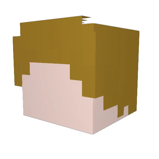 Retr035 Minecraft avatar head, 3D render
