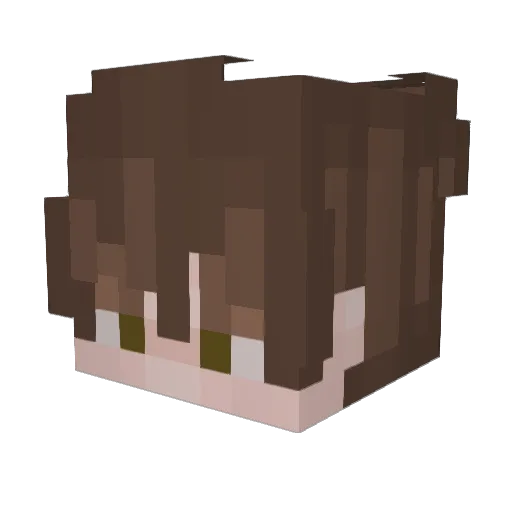 Retraxx Minecraft avatar head, 3D render