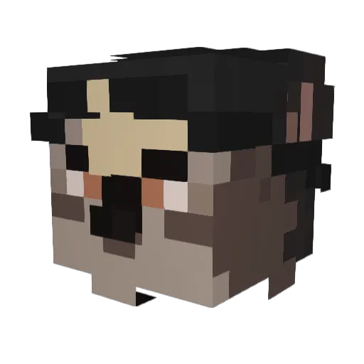 RetroBear558 Minecraft avatar head, 3D render