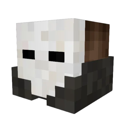 RetroGamesSam Minecraft avatar head, 3D render