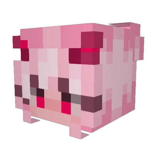 RetroNerd86 Minecraft avatar head, 3D render