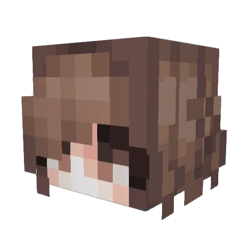 RetroSpaceGirl Minecraft avatar head, 3D render