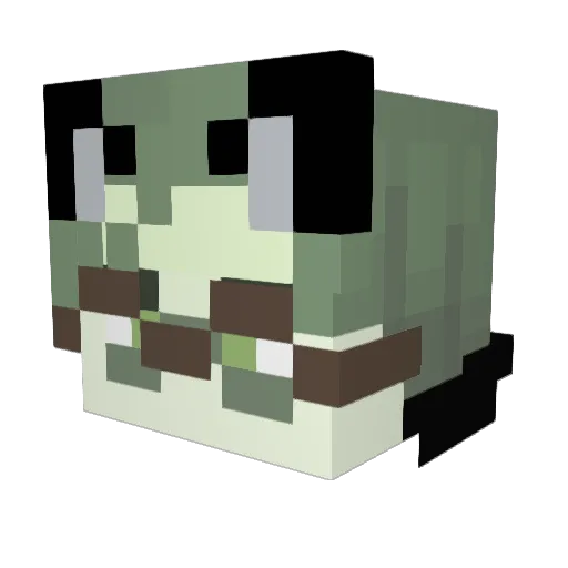 RetroZeroGaming Minecraft avatar head, 3D render