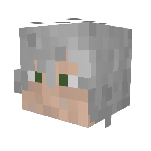 Retro_Asher Minecraft avatar head, 3D render