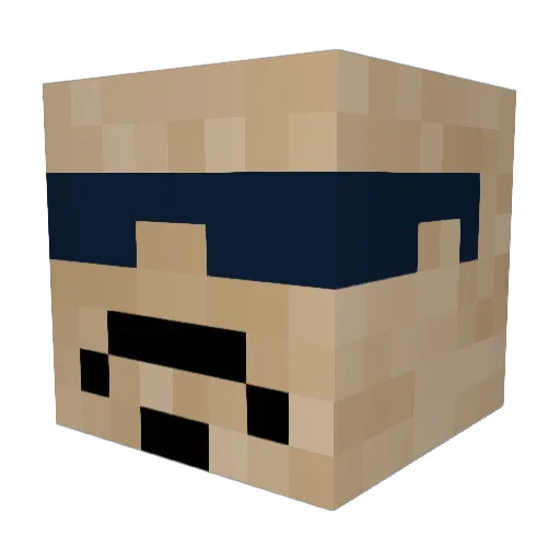 Retro_Gaming245 Minecraft avatar head, 3D render
