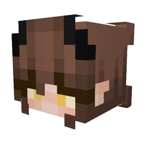 Retro_VoidXx Minecraft avatar head, 3D render