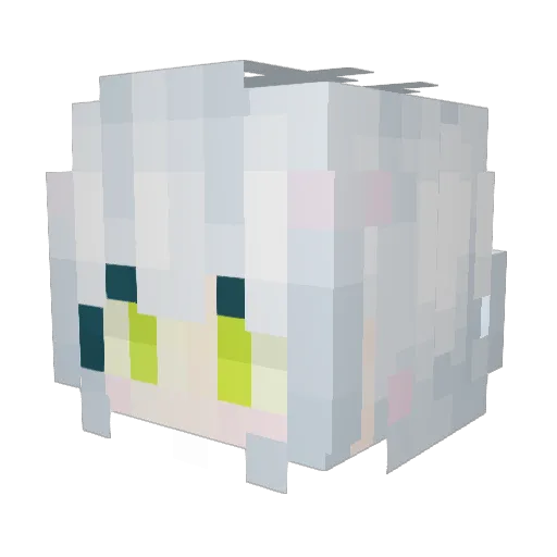Retro_turtle Minecraft avatar head, 3D render