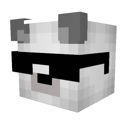 Retroknight66 Minecraft avatar head, 3D render