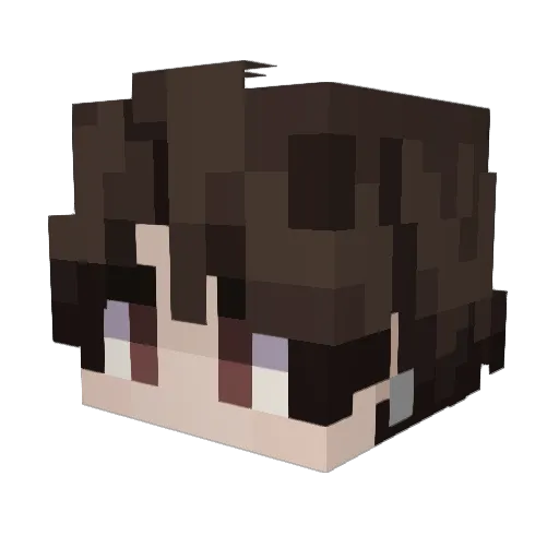 Retrybuter Minecraft avatar head, 3D render