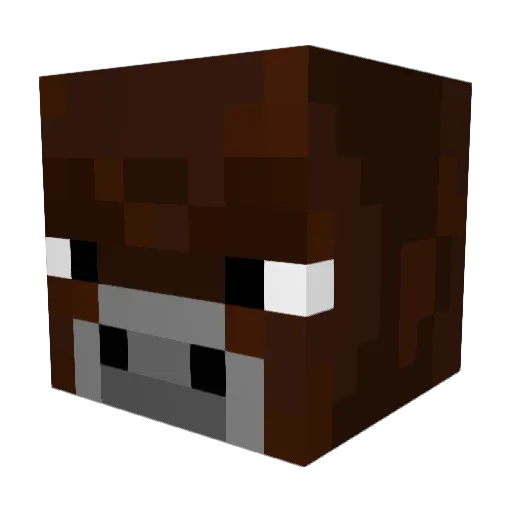 Retsel Minecraft avatar head, 3D render