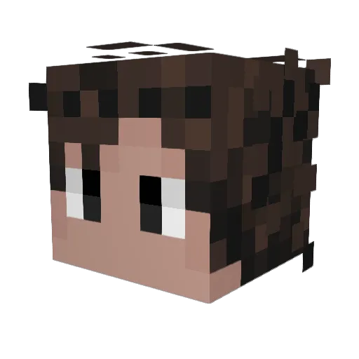 RettichLP Minecraft avatar head, 3D render