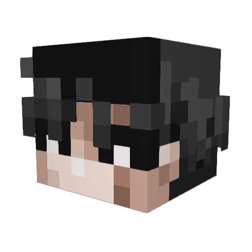 Rettig9000 Minecraft avatar head, 3D render
