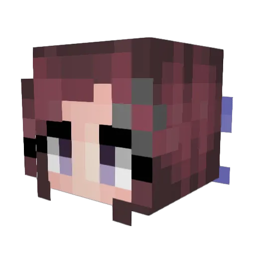 ReturnSu Minecraft avatar head, 3D render