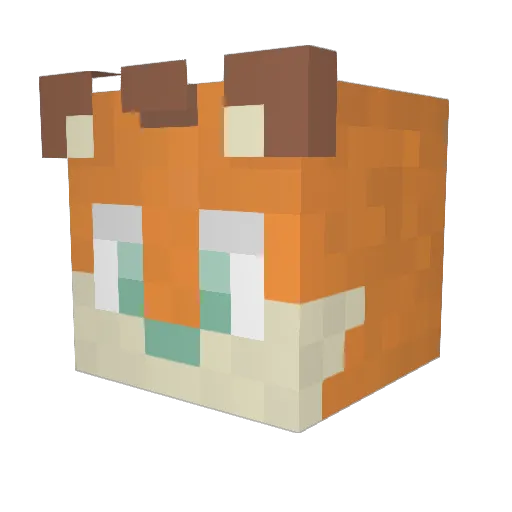 RetzFox Minecraft avatar head, 3D render