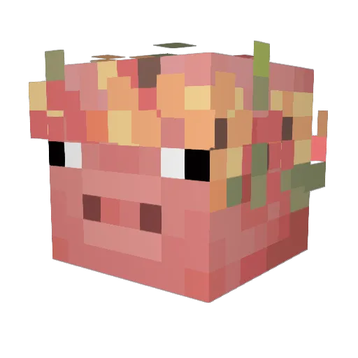 Reuben_Xucx Minecraft avatar head, 3D render