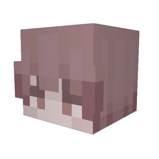 Reubevn Minecraft avatar head, 3D render
