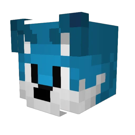 Reva_FR Minecraft avatar head, 3D render