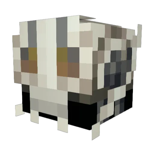 Revakiin Minecraft avatar head, 3D render