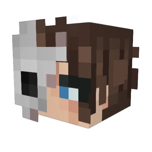 RevalMaster77 Minecraft avatar head, 3D render