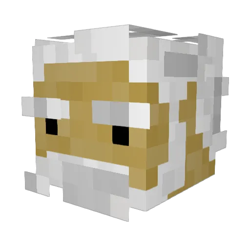 Revan2 Minecraft avatar head, 3D render