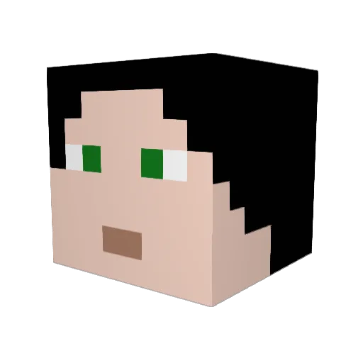 RevanCraft25 Minecraft avatar head, 3D render