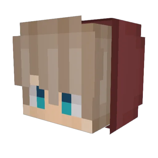 Reve37 Minecraft avatar head, 3D render