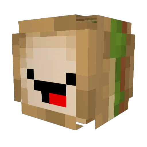 Revel4741 Minecraft avatar head, 3D render