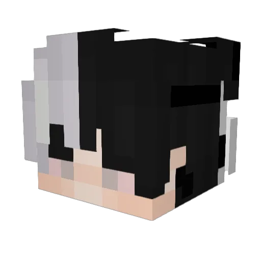 Revelado Minecraft avatar head, 3D render