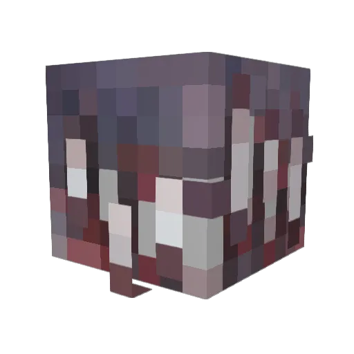 Revelegionnaire Minecraft avatar head, 3D render