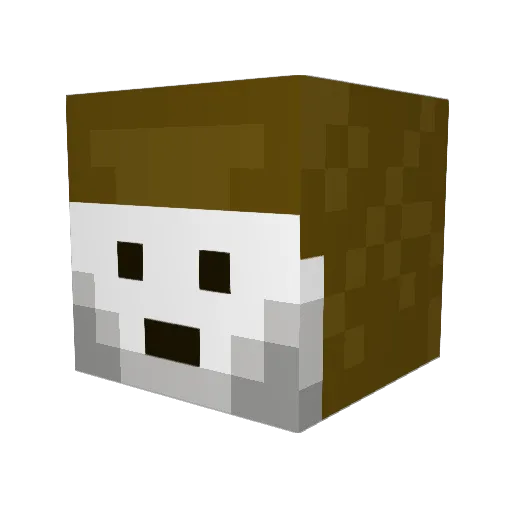 Revelles Minecraft avatar head, 3D render