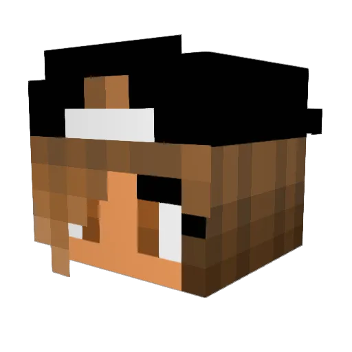 RevengePawg Minecraft avatar head, 3D render