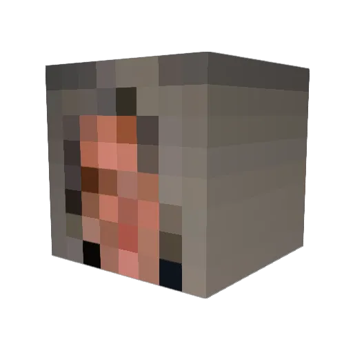 RevengeSeeker12 Minecraft avatar head, 3D render