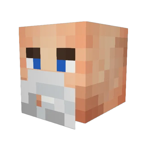 ReverendJB Minecraft avatar head, 3D render