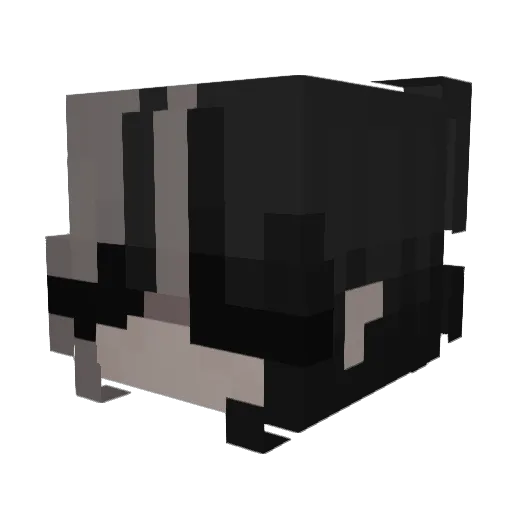 Reverse4k_ Minecraft avatar head, 3D render