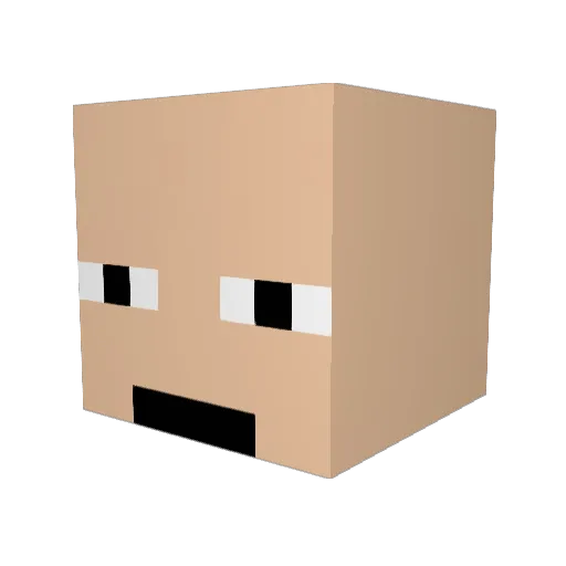 ReverseBack Minecraft avatar head, 3D render