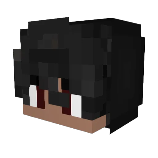 ReverseDownfall Minecraft avatar head, 3D render