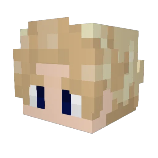 ReverseSebas Minecraft avatar head, 3D render