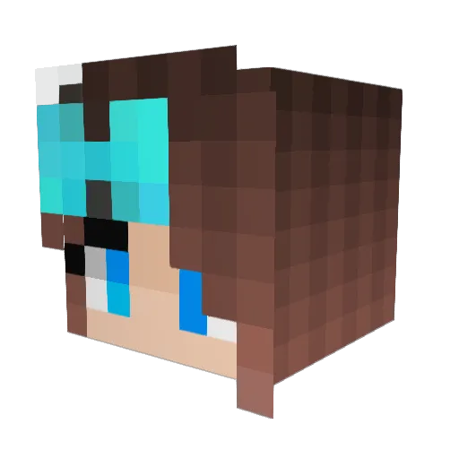 ReverseTherapy Minecraft avatar head, 3D render
