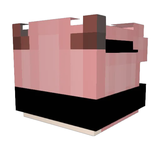 ReverseZukii Minecraft avatar head, 3D render